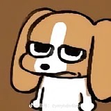 威士忌猎狐梗的头像