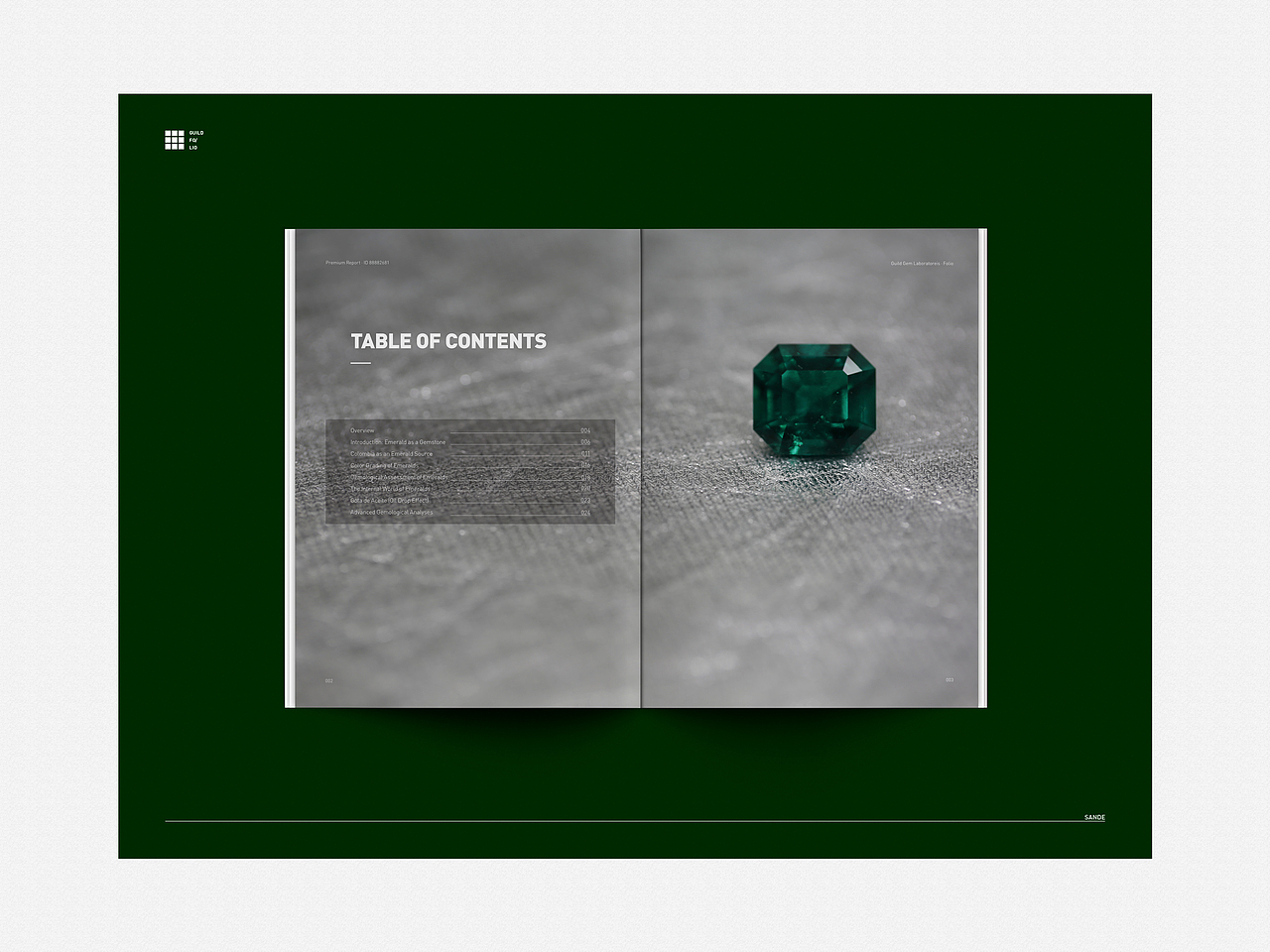 #Folio# Premium Report（III）（图ZMTE2NTM4MzYw） - 书籍/画册 - 站酷设计师Sande丨Lau原创素材 - 站酷ZCOOL