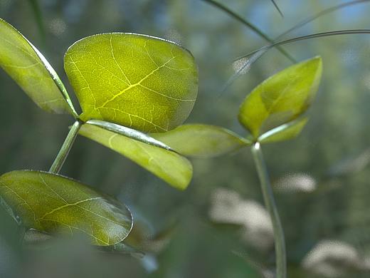 樹葉-渲染練習(xí)（個(gè)人主頁-ZNTcyNDc3MjQ=） - 動(dòng)畫/影視 - 站酷設(shè)計(jì)師SherryWang123原創(chuàng)素材 - 站酷ZCOOL