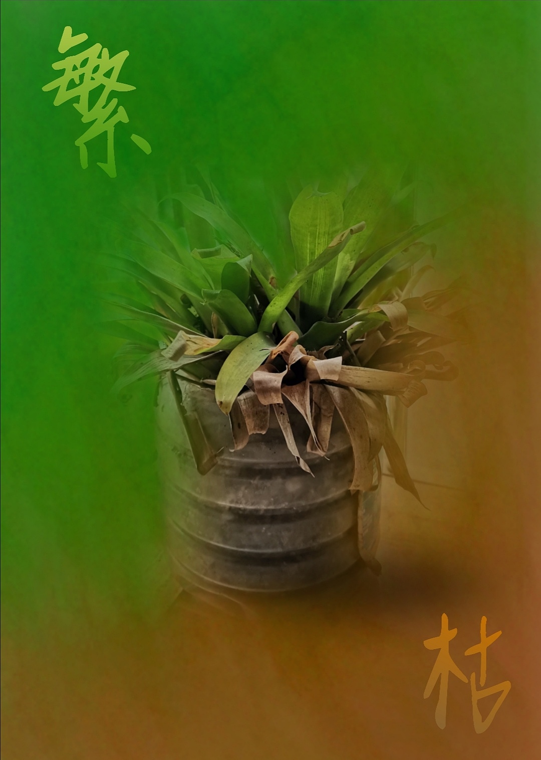 对比因果联想的一组创意练习海报