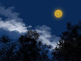 插畫分享｜那些年畫過的月亮