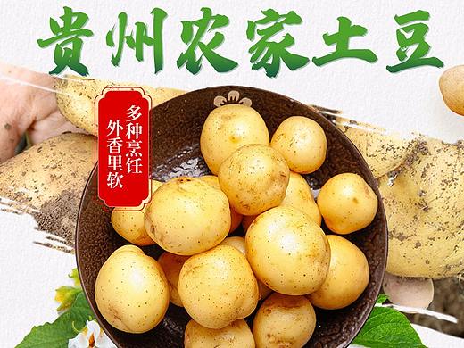 贵州土豆洋芋马铃薯农产品蔬菜
