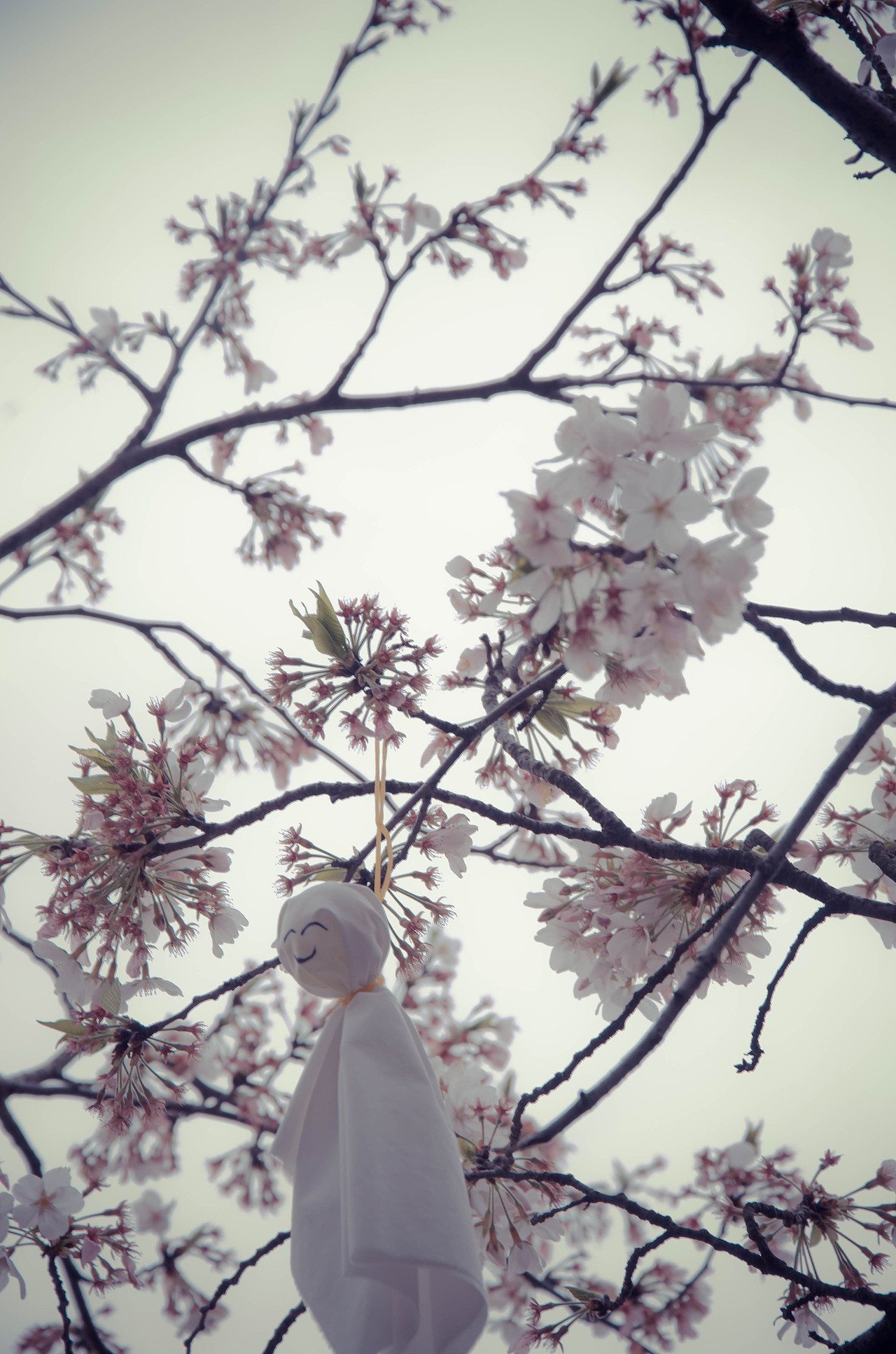 五步一景 十步一色（图ZMjU0MTI0NTYw） - 环境/建筑摄影 - 站酷设计师Z39085363原创素材 - 站酷ZCOOL