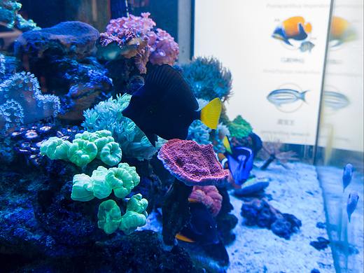 海水店一日游