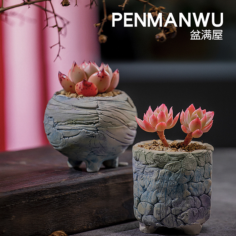 產(chǎn)品攝影，盆滿屋小花盆（圖ZMjQ2MDI2Nzg0） - 產(chǎn)品攝影 - 站酷設(shè)計師小紅羊商業(yè)攝影原創(chuàng)素材 - 站酷ZCOOL