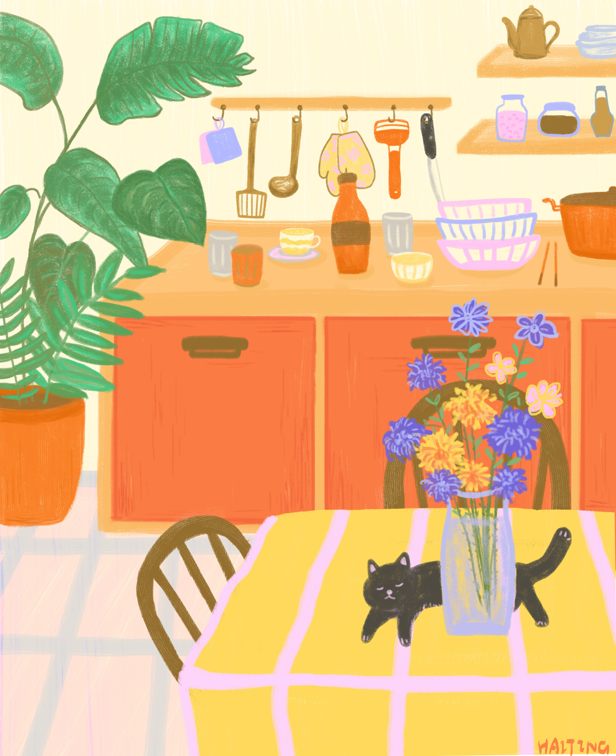 猫与厨房|插画|插画习作|乌有大海 - 原创作品 - 站酷 (zcool)