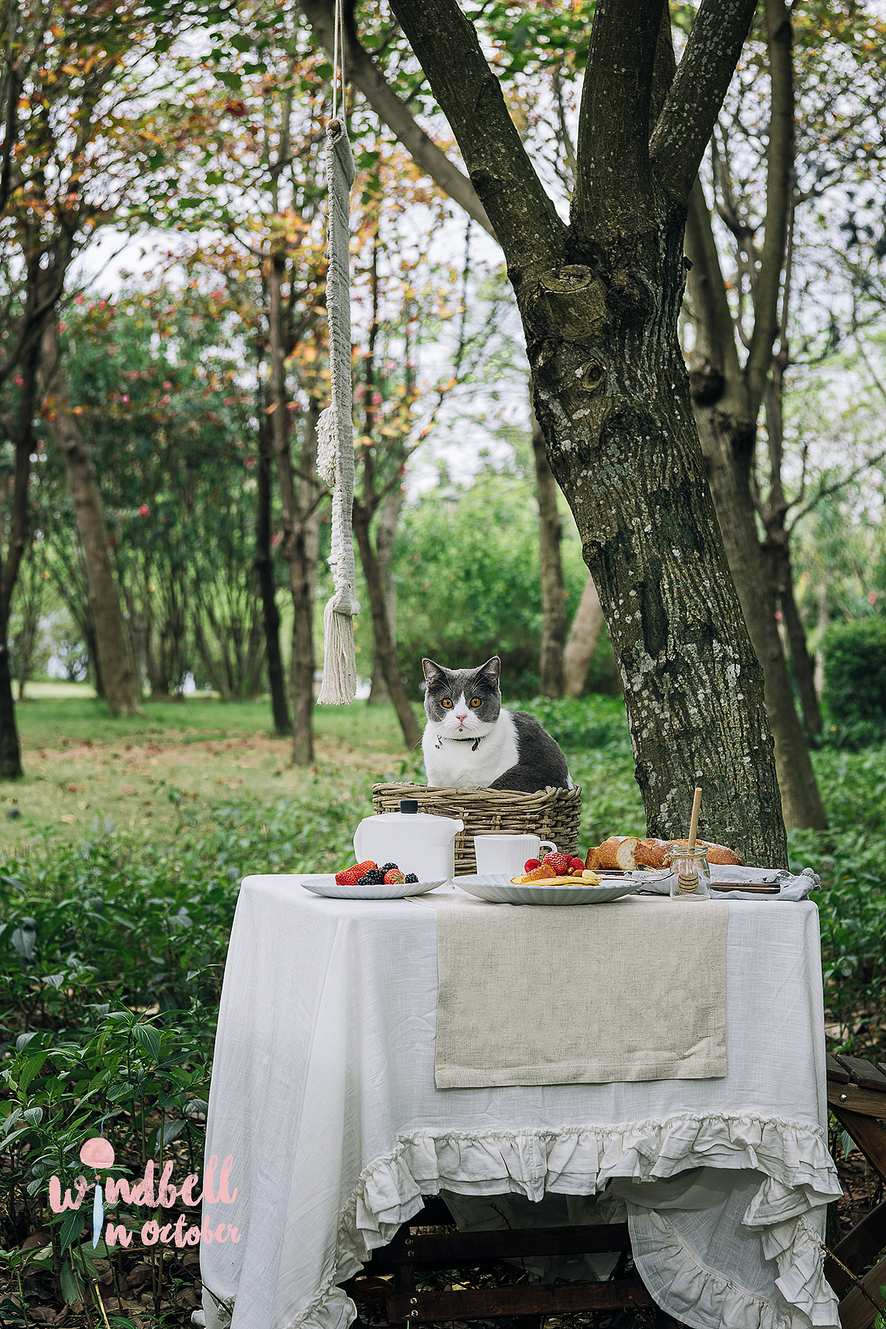 十月风铃野餐day主题拍摄