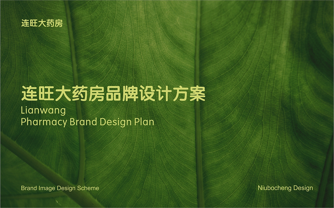 连锁药店品牌 l 连旺大药房