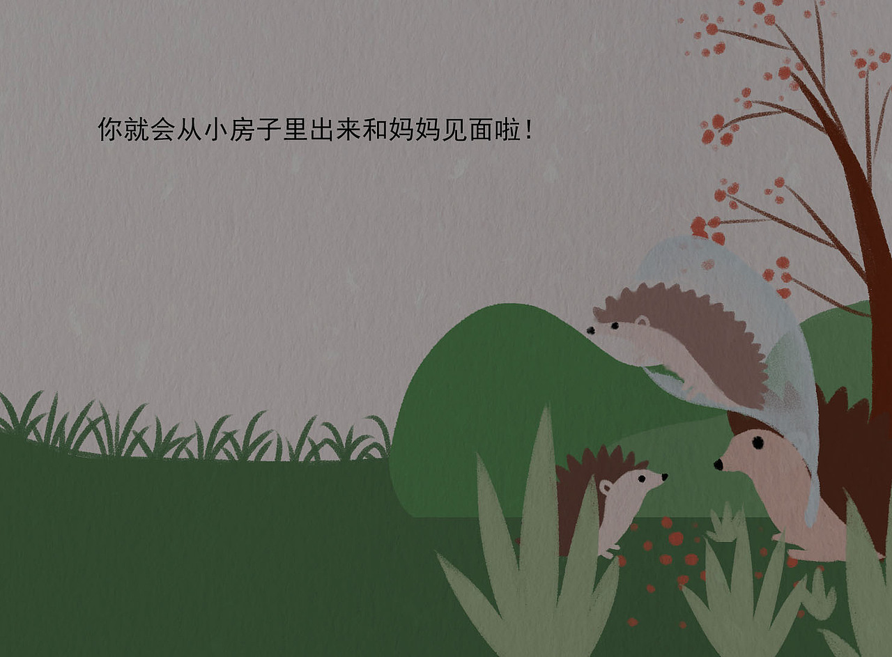 儿童插画绘本《我从哪里来》