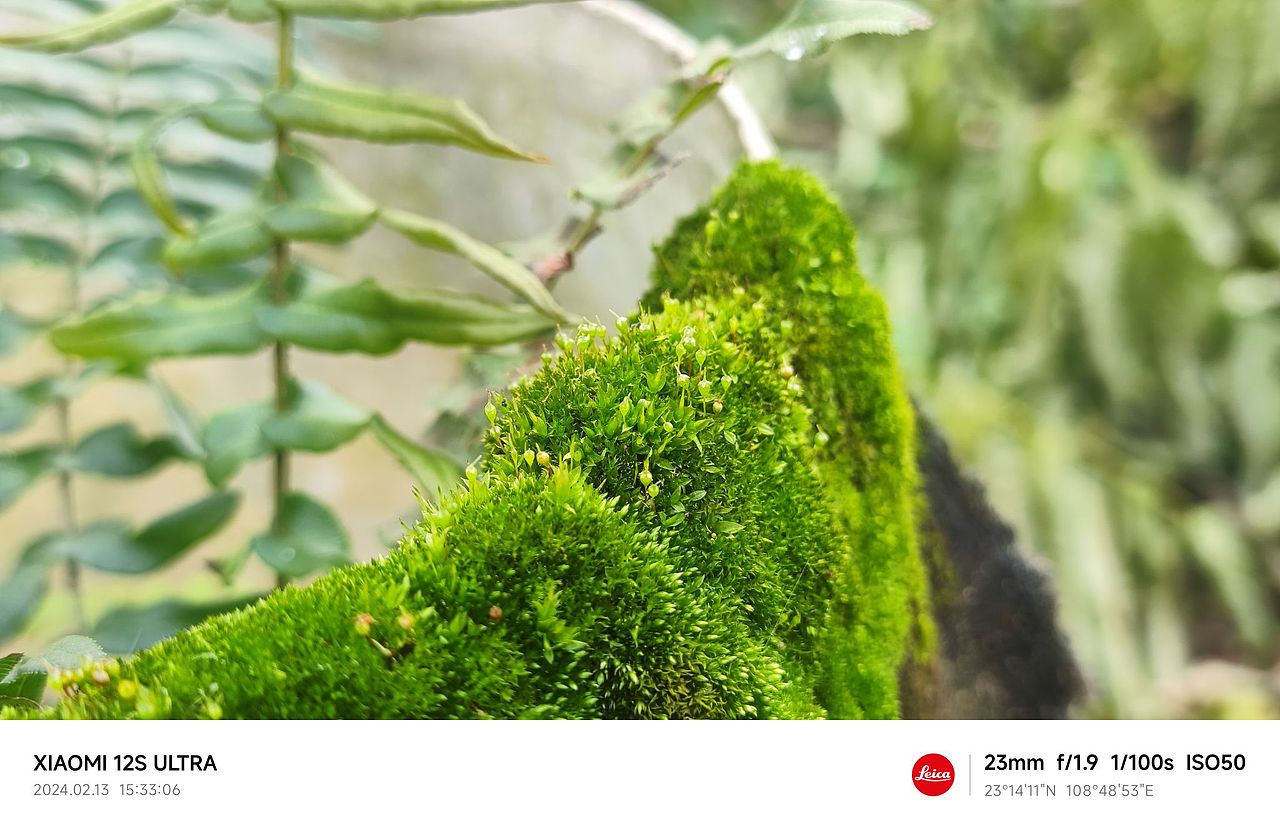 随拍（图ZMzYxNzQxODg4） - 人文/纪实摄影 - 站酷设计师木糖醇饕餮原创素材 - 站酷ZCOOL