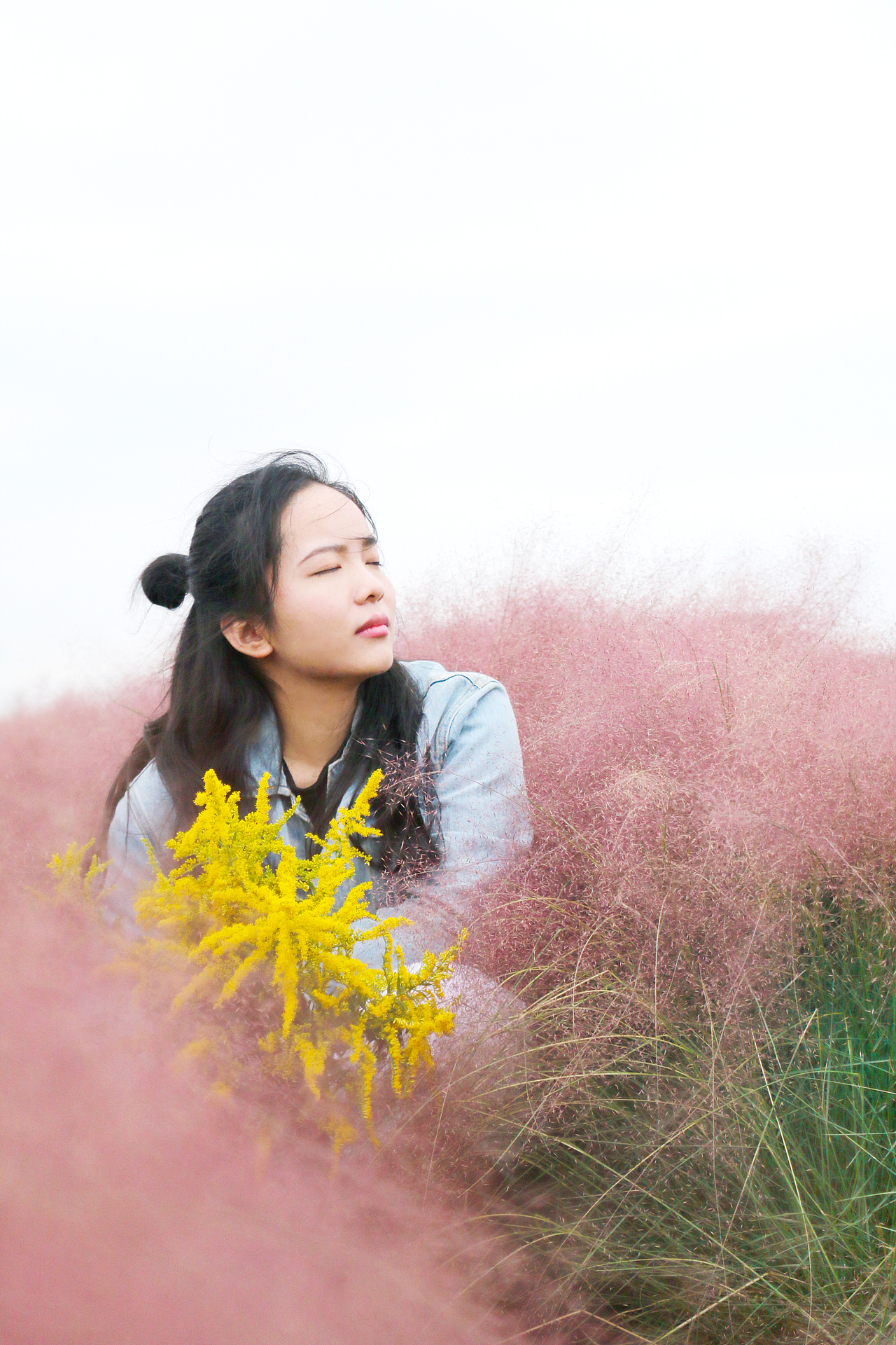 粉黛乱子草（图ZNjM4NzExODg=） - 人像摄影 - 站酷设计师修灵翠竹原创素材 - 站酷ZCOOL