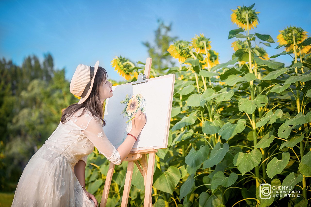 《向日葵的约定》