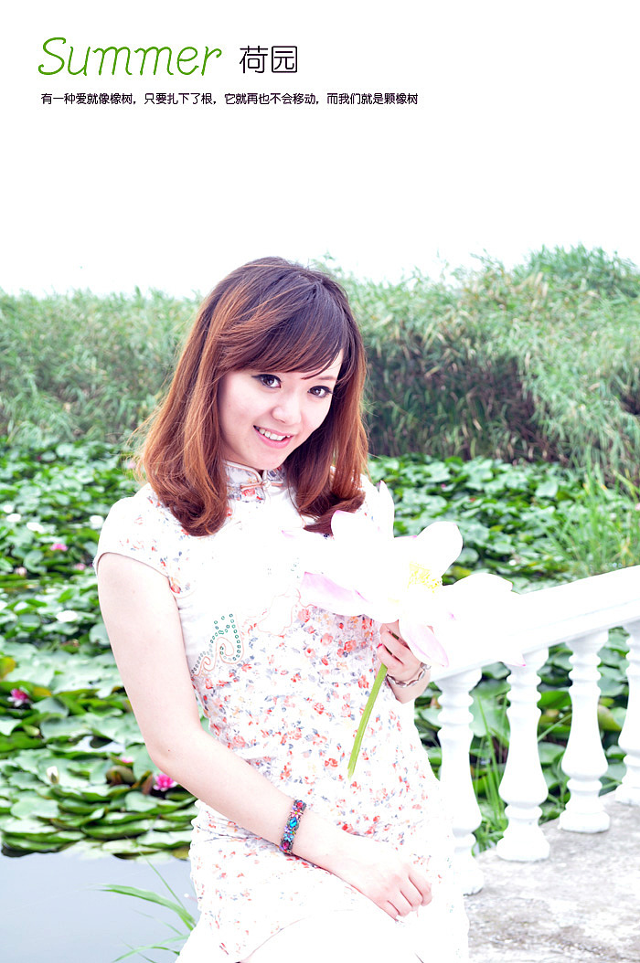 宝应荷园-佳人篇