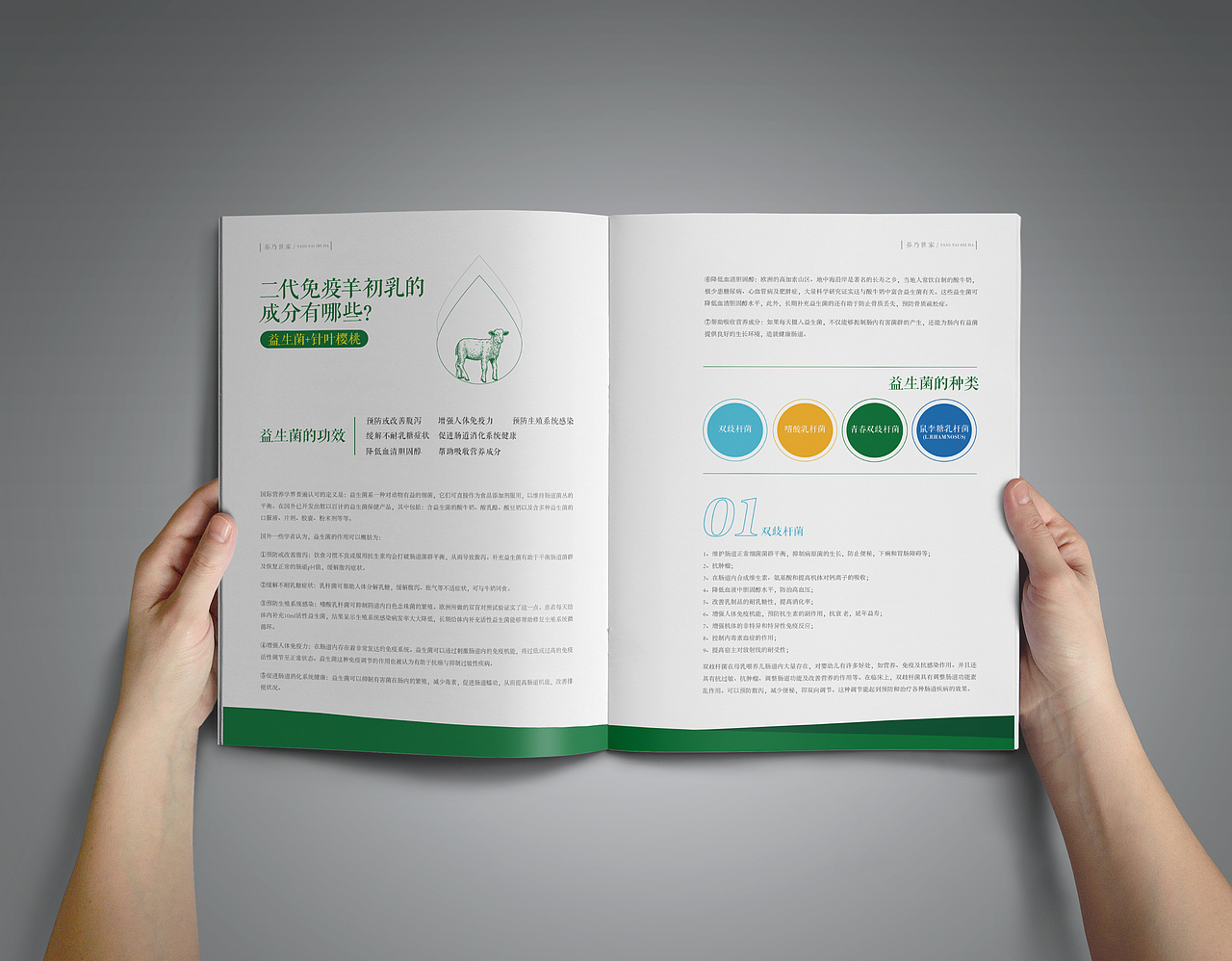 养乃世家画册设计