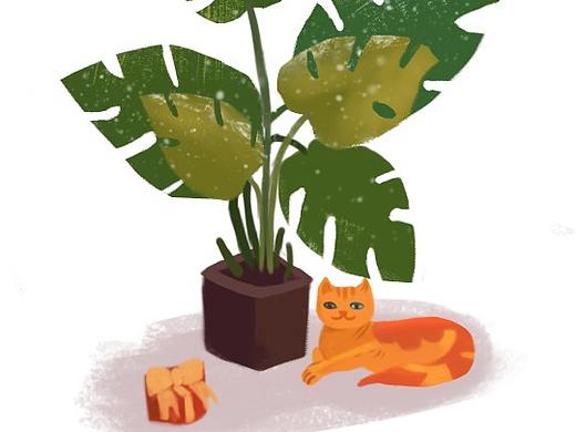 植物插画