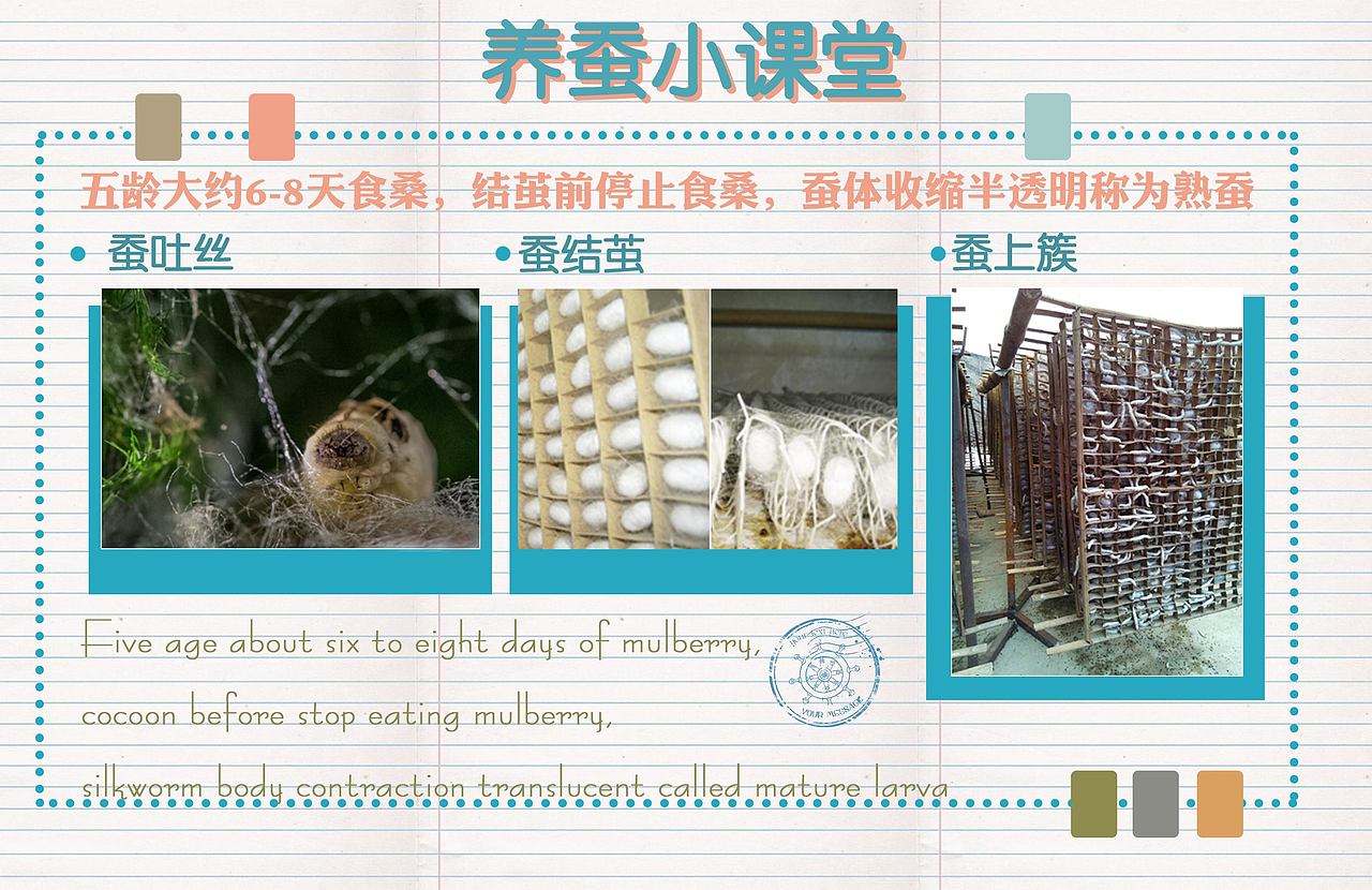 蚕趣馆 墙面展示（图ZNzEwMjM5ODQ=） - 展陈设计 - 站酷设计师中秋节的兔子原创素材 - 站酷ZCOOL