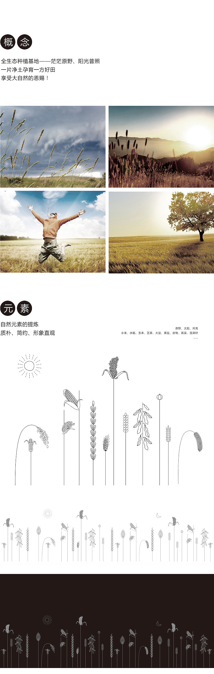 妙有 有机杂粮包装设计（图ZMjI4NDcwMzI=） - 包装 - 站酷设计师觉士品牌包装设计原创素材 - 站酷ZCOOL