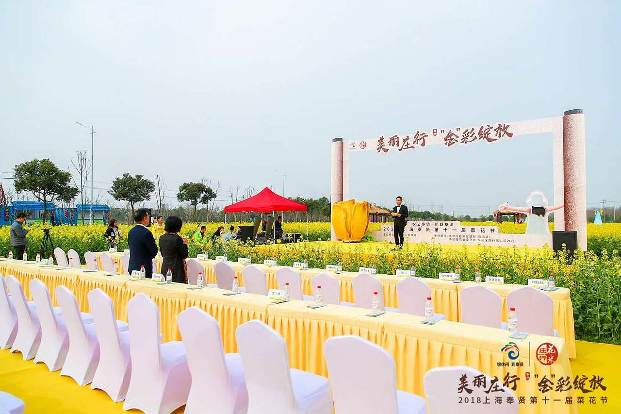 2018年上海奉贤第十一届油菜花节