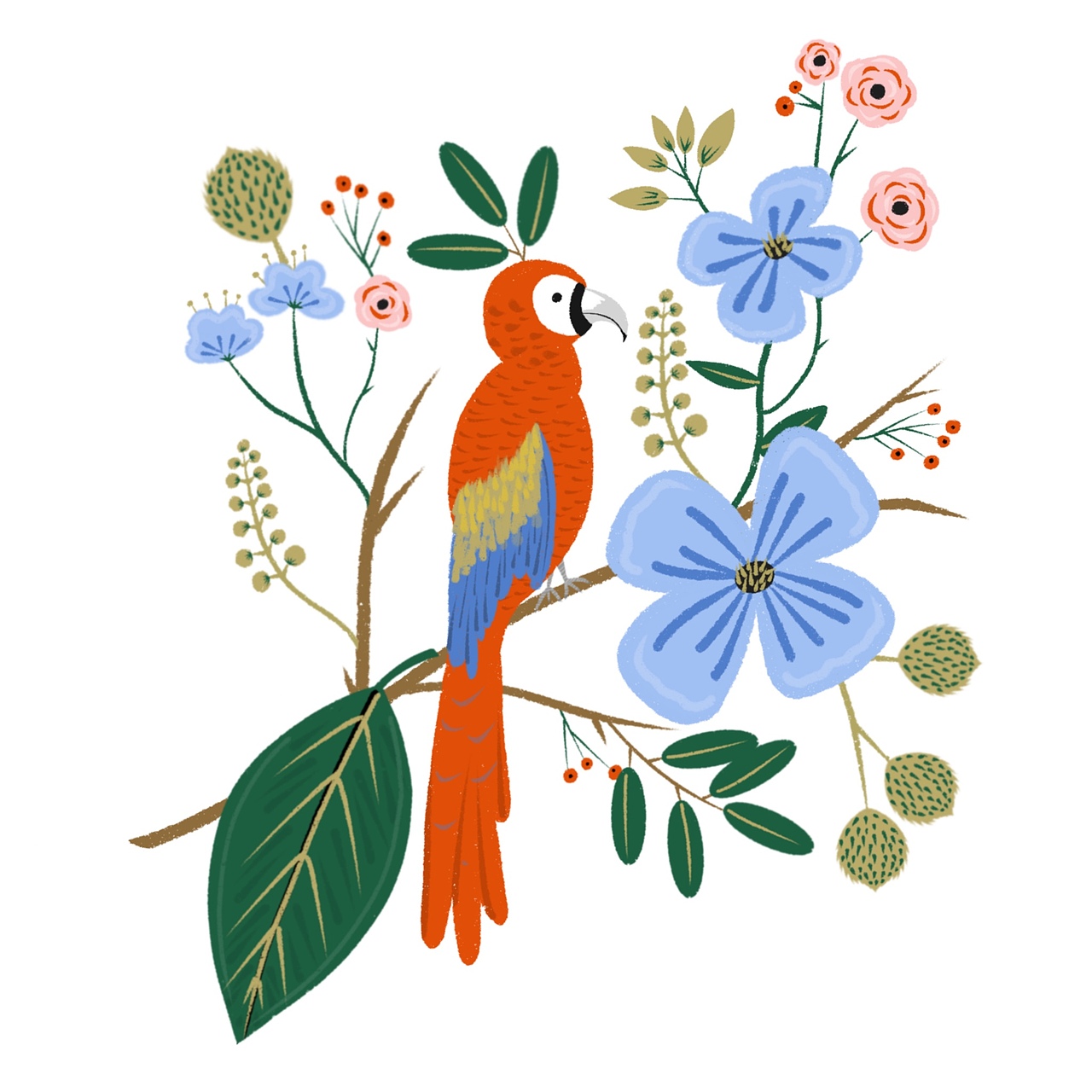 (临摹篇)鸟语花香