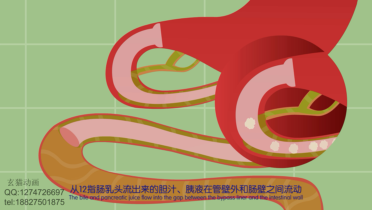 杭州专业动漫制作公司MG动画制作二维系列片制作公司