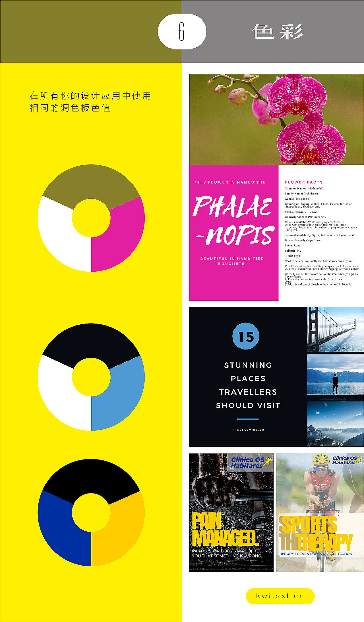 一致的品牌視覺(jué)（圖ZMTM0Nzk3NTYw） - 其他 - 站酷設(shè)計(jì)師同畫說(shuō)原創(chuàng)素材 - 站酷ZCOOL