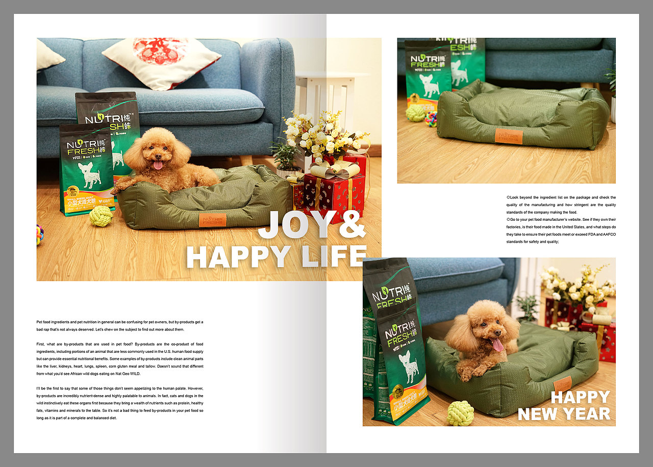 CNY睡窩雜志大片（圖ZMTA4NTg5ODg4） - 書(shū)籍/畫(huà)冊(cè) - 站酷設(shè)計(jì)師年糕姐姐WindyQ原創(chuàng)素材 - 站酷ZCOOL