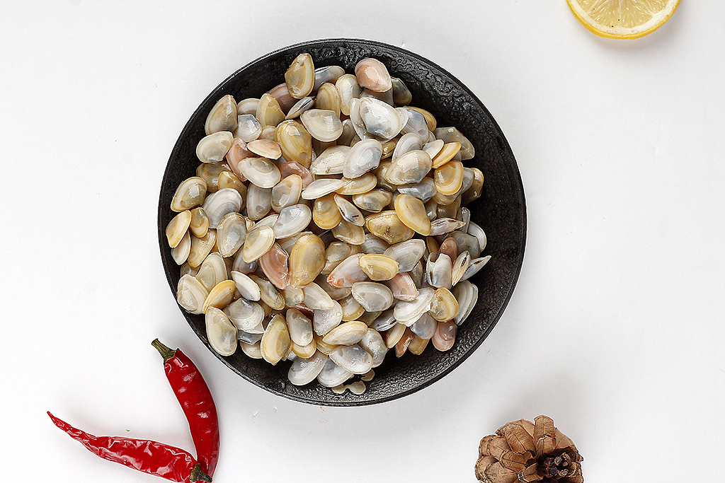 大海瓜子丨名副其实的小小贝类生物丨飞鸟电商