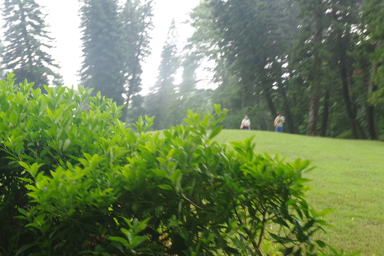 户外摄影--厦门摄影（鼓浪屿、植物园）（图ZNTc4Mzc3NDQ=） - 环境/建筑摄影 - 站酷设计师今天能喝咖啡了吗原创素材 - 站酷ZCOOL