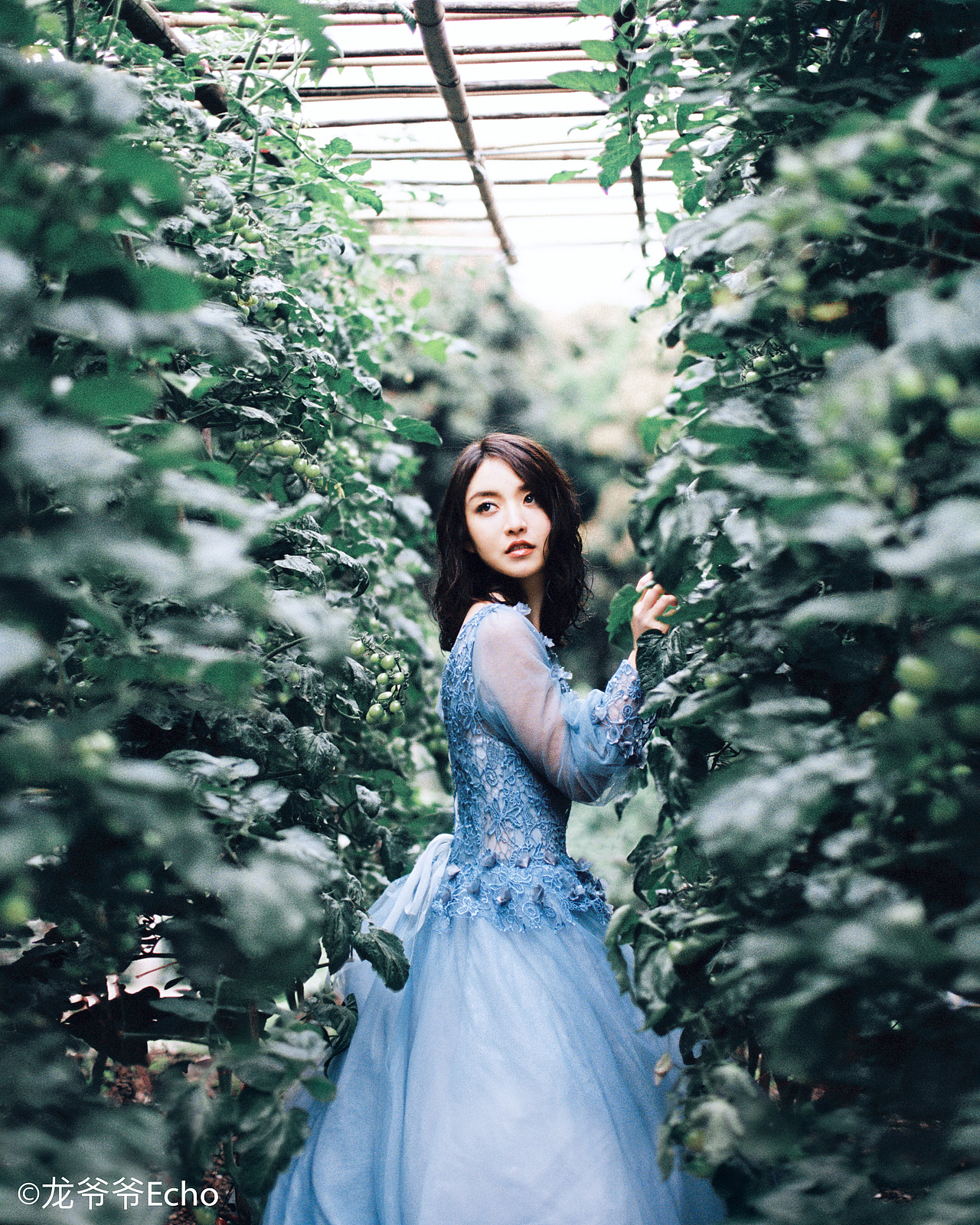 女孩的秘密花园