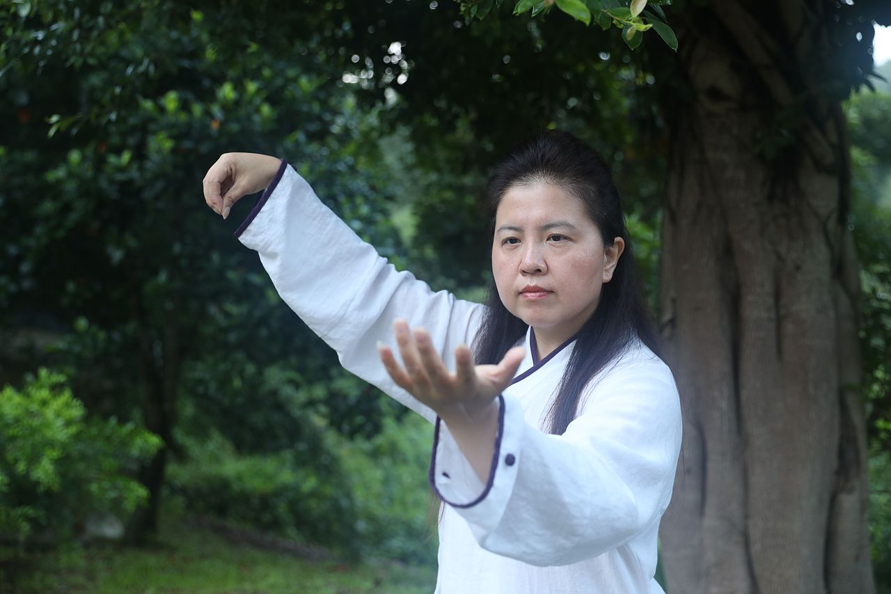 武当道致·理淳