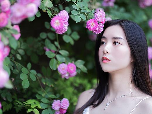 蔷薇与美女
