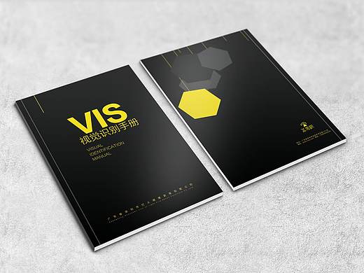 VIS