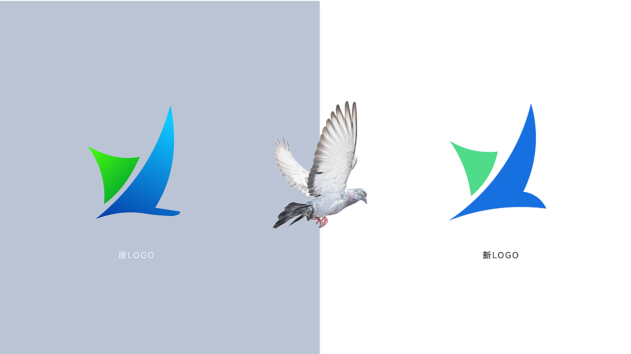 旭医资本 | 品牌升级（图ZMjg1ODcxMTA0） - 品牌 - 站酷设计师微视觉设计I营销原创素材 - 站酷ZCOOL