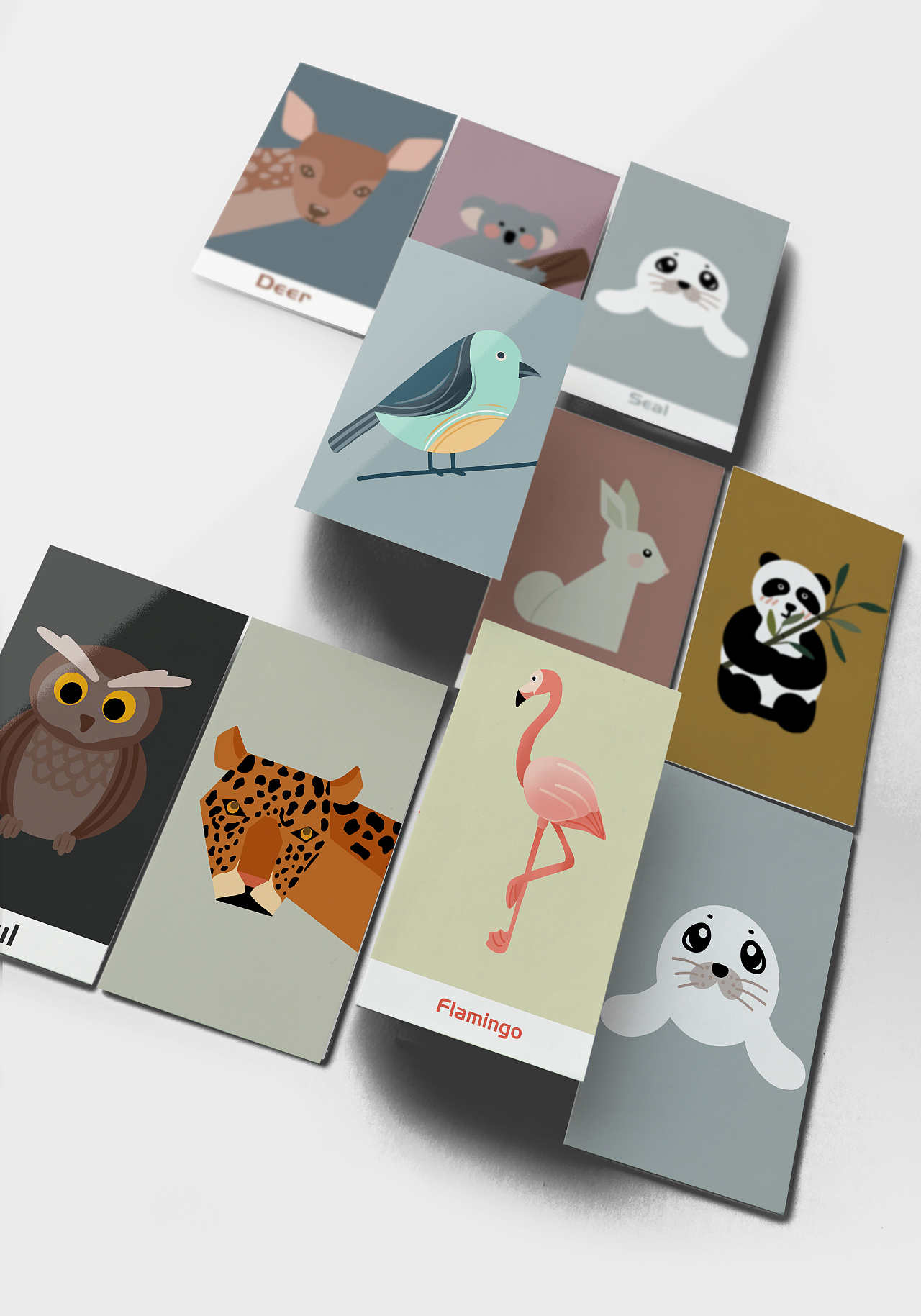 动物卡片