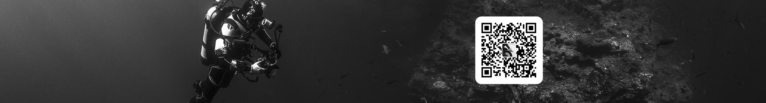 kelso的个人主页（封面预览） - 主页封面设置 - 站酷设计师kelso原创素材 - 站酷ZCOOL