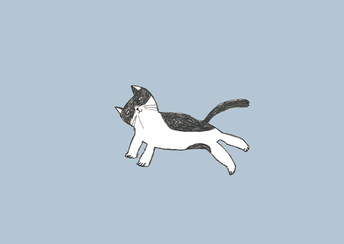 猫（图ZMTA3Njg1NTgw） - 商业插画 - 站酷设计师伊香原创素材 - 站酷ZCOOL