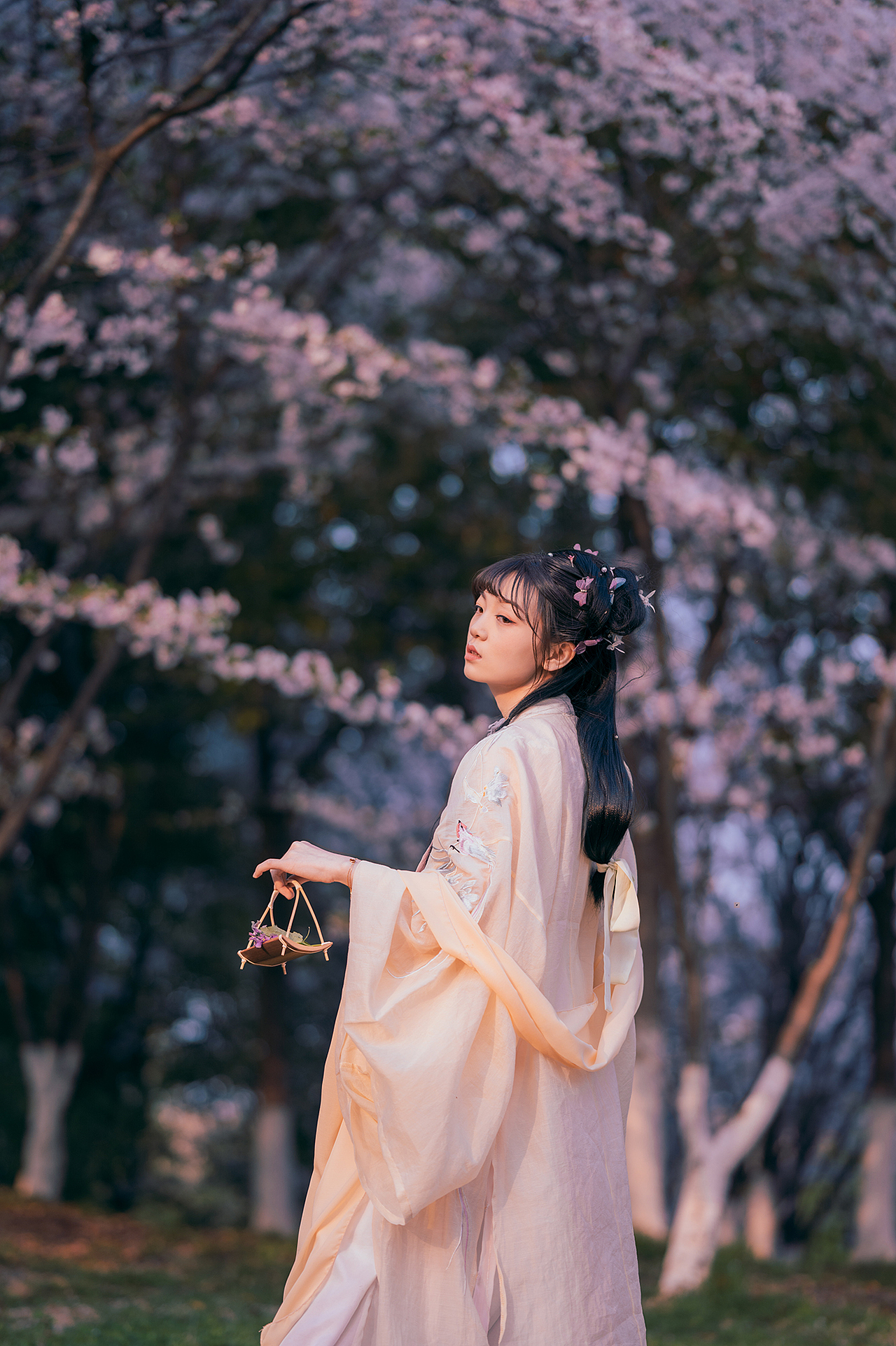樱花落（图ZMjA0MzMxNzE2） - 人像摄影 - 站酷设计师拍照的青山原创素材 - 站酷ZCOOL