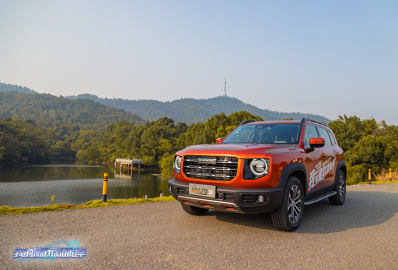 2020年宣城哈弗大狗