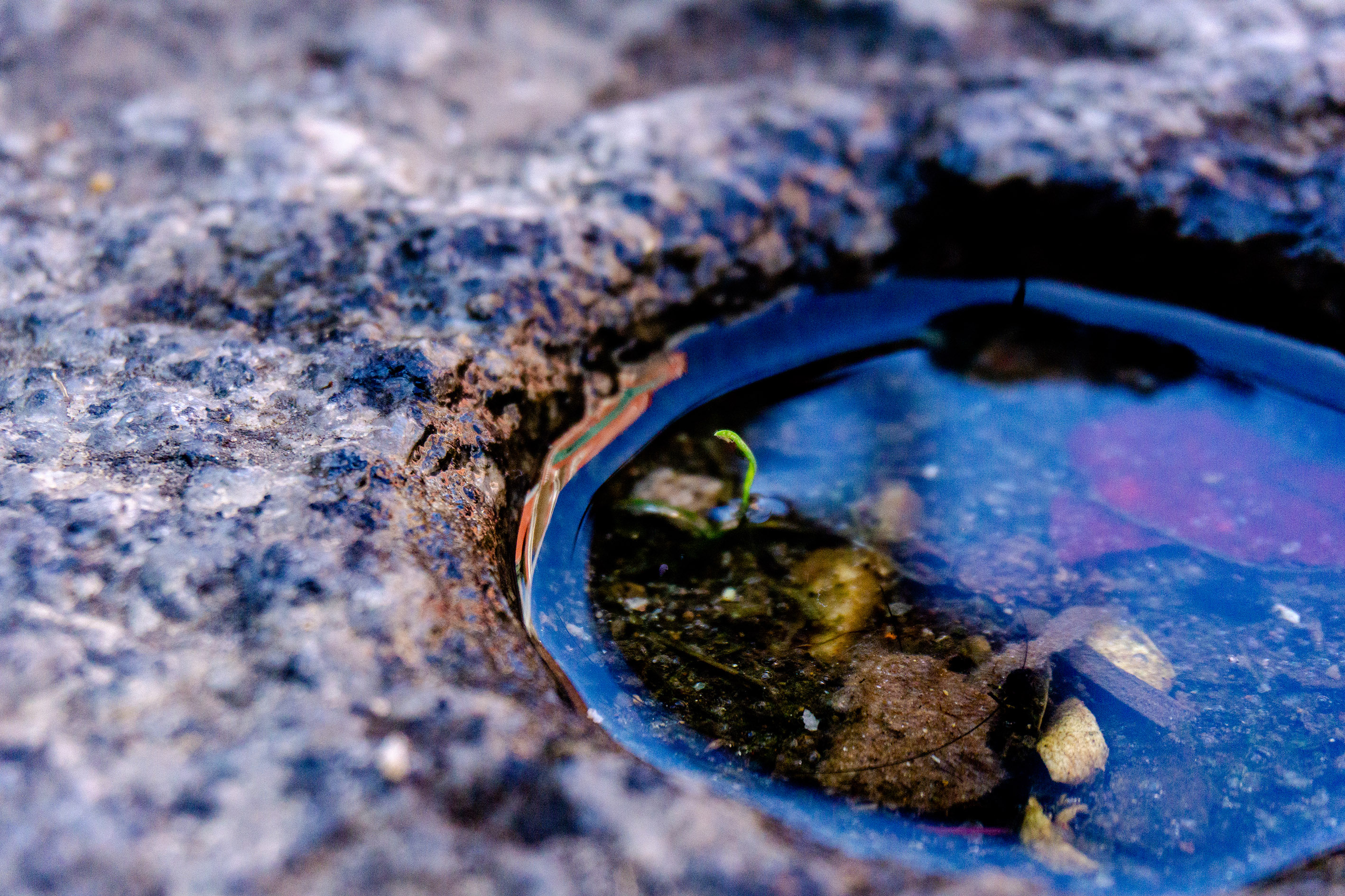 蝸牛夏苒的個(gè)人主頁（封面預(yù)覽） - 主頁封面設(shè)置 - 站酷設(shè)計(jì)師蝸牛夏苒原創(chuàng)素材 - 站酷ZCOOL