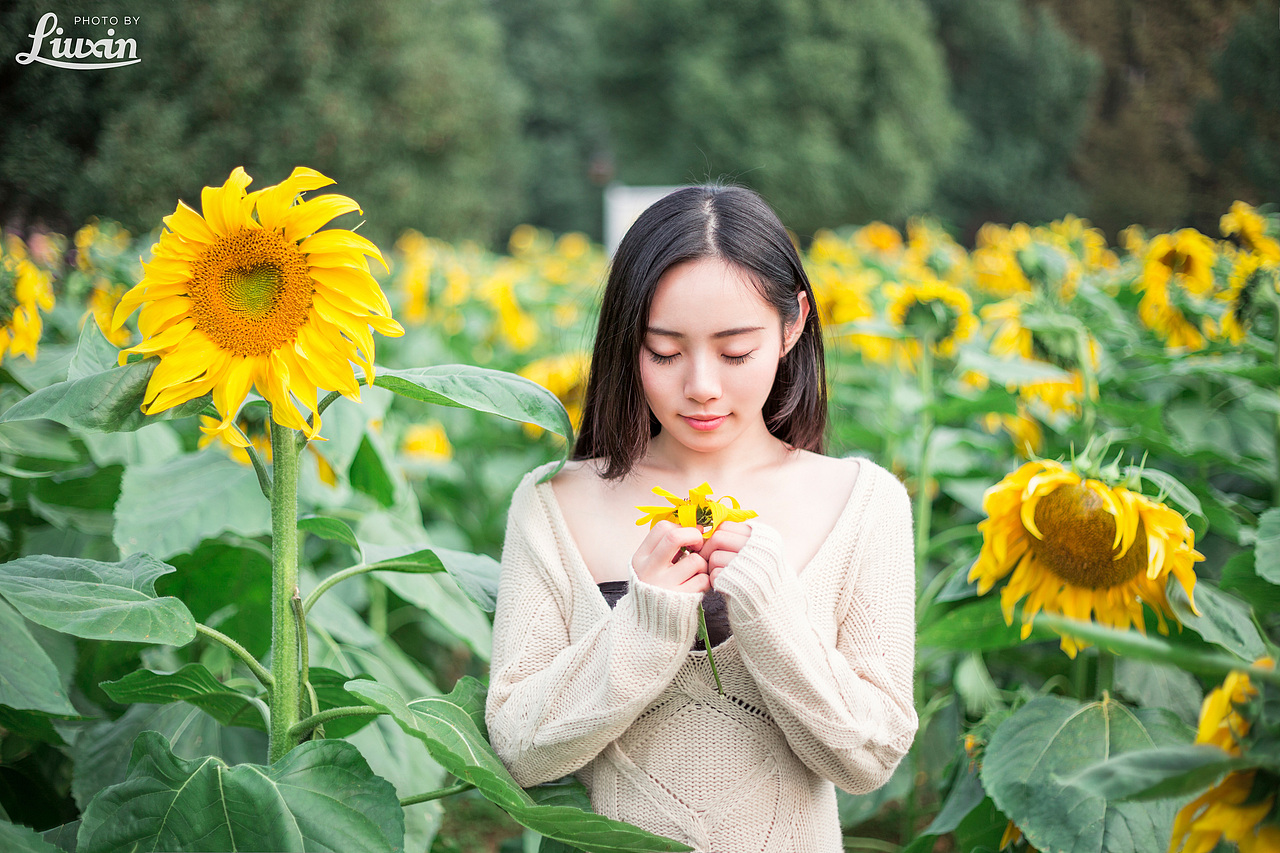 向日葵の花季（图ZMjU2NjA5OTY=） - 人像摄影 - 站酷设计师浮沉流星原创素材 - 站酷ZCOOL