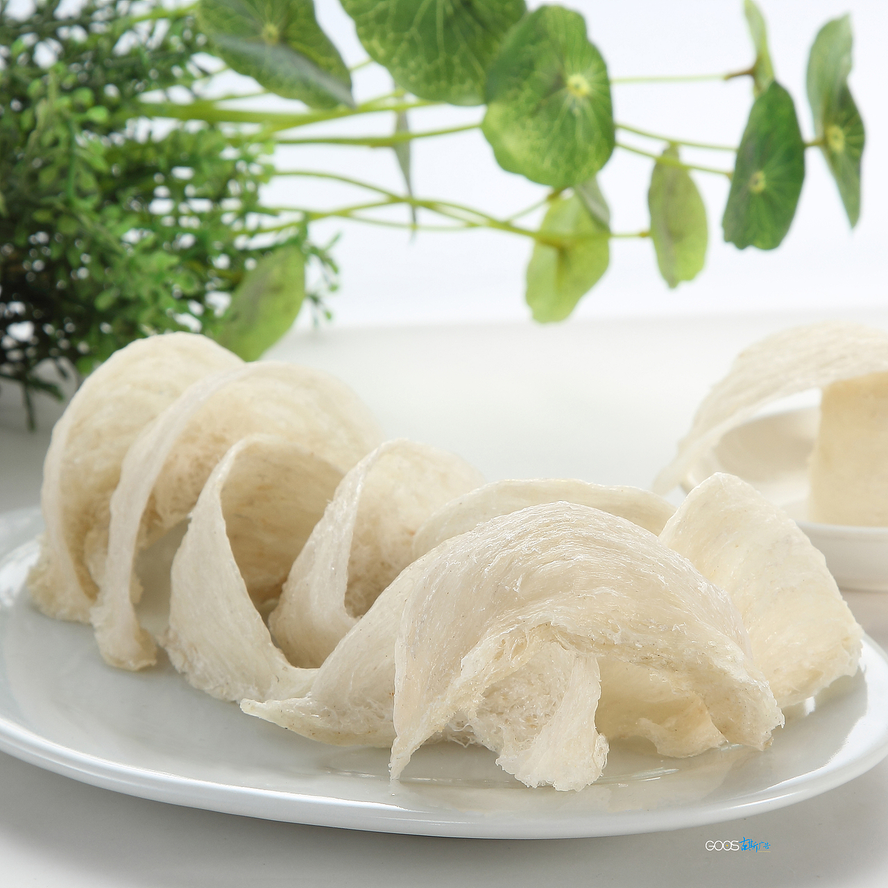 衣服摄影 模特摄影 产品拍摄 人物摄影 人物图库广州童装摄影淘宝摄影男装拍摄专业摄影设计 服装摄影（图ZMjE2MzY5OTY=） - 产品摄影 - 站酷设计师古斯广告原创素材 - 站酷ZCOOL