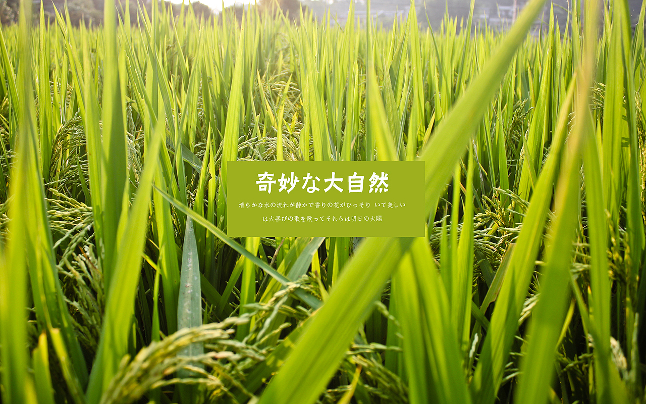 日出，日落，星空，夜。（下集）（图ZMTE3OTMwMjg=） - 风光摄影 - 站酷设计师michaelpst原创素材 - 站酷ZCOOL