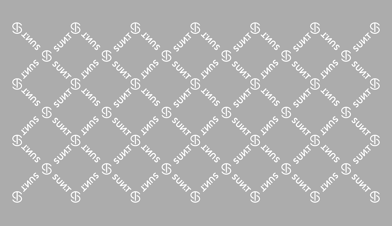 SUN TOMORROW童装品牌升级设计