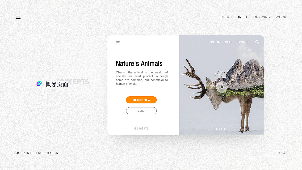 2019 个人作品集