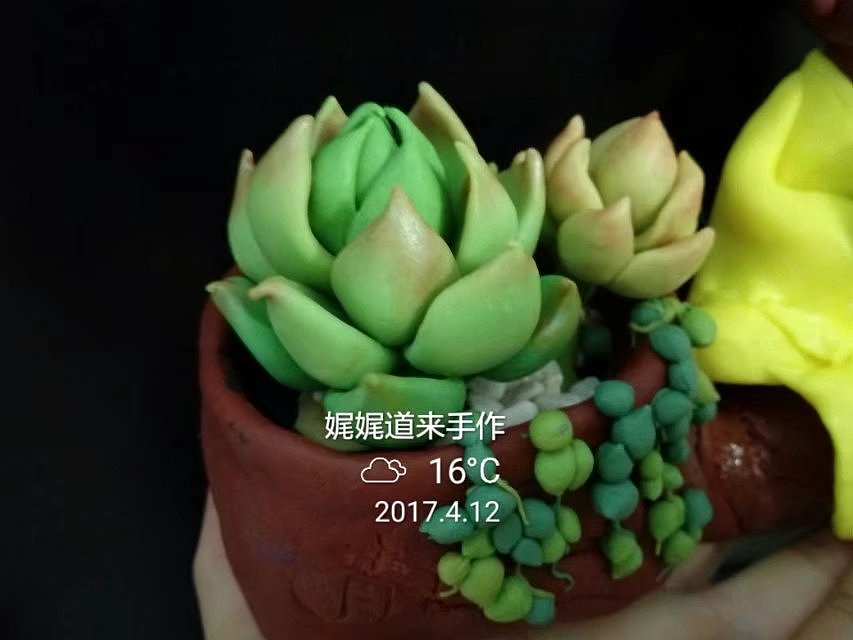 软陶手作:多肉作品