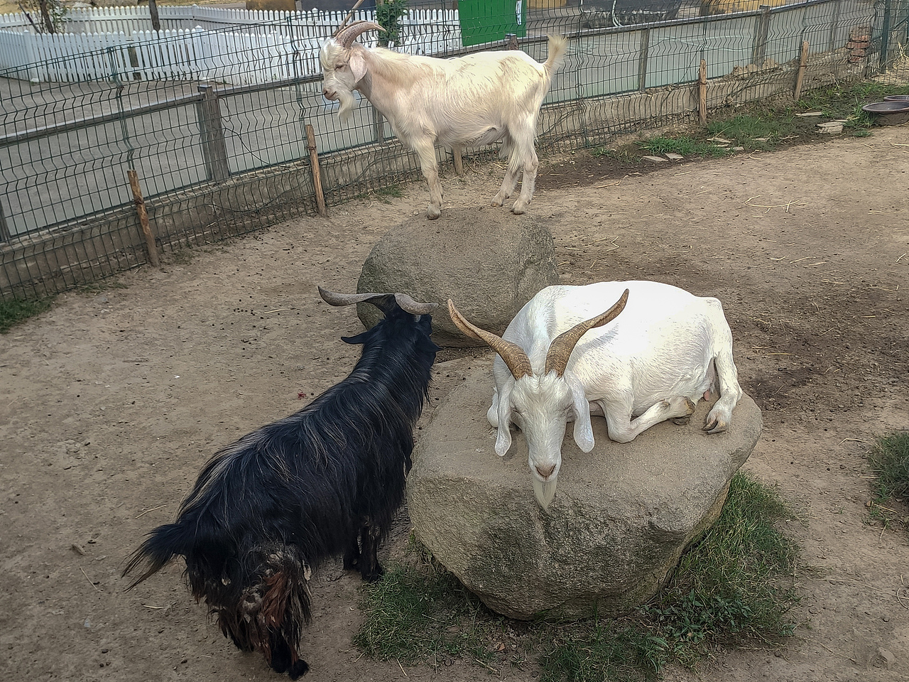 苏州上方动物园