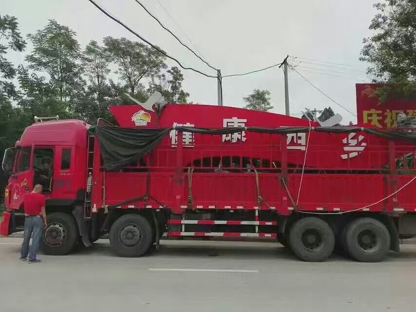 文化建设标识牌