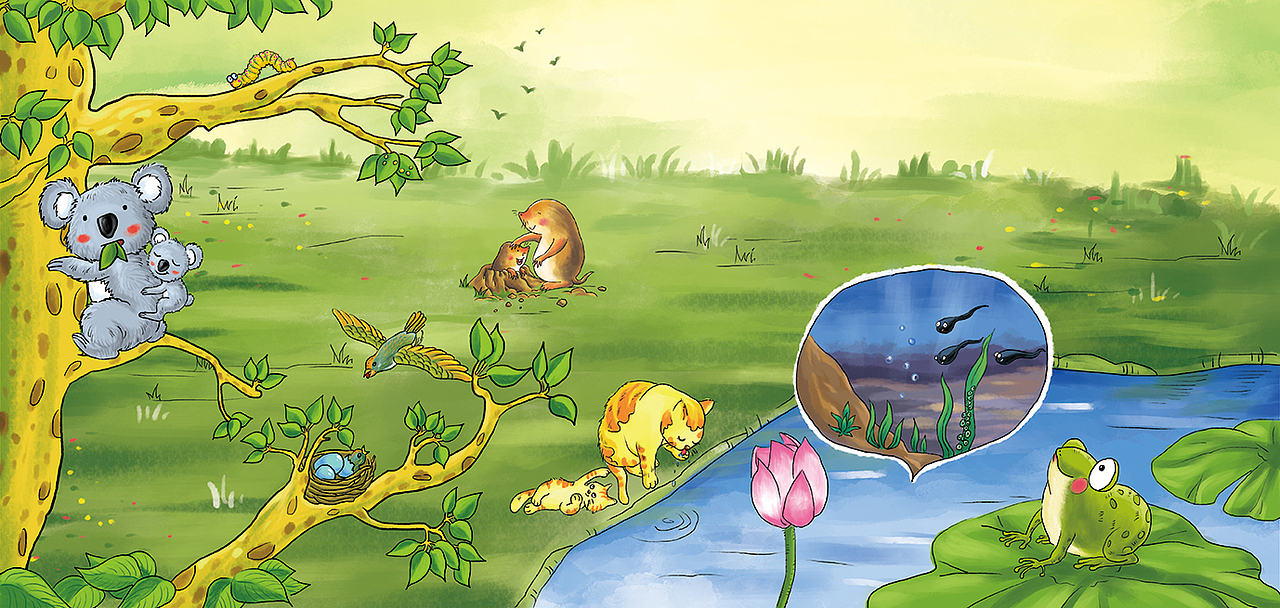 幼儿用书插画（图ZNTQ2OTA0NDg=） - 儿童插画 - 站酷设计师xiaohulu原创素材 - 站酷ZCOOL