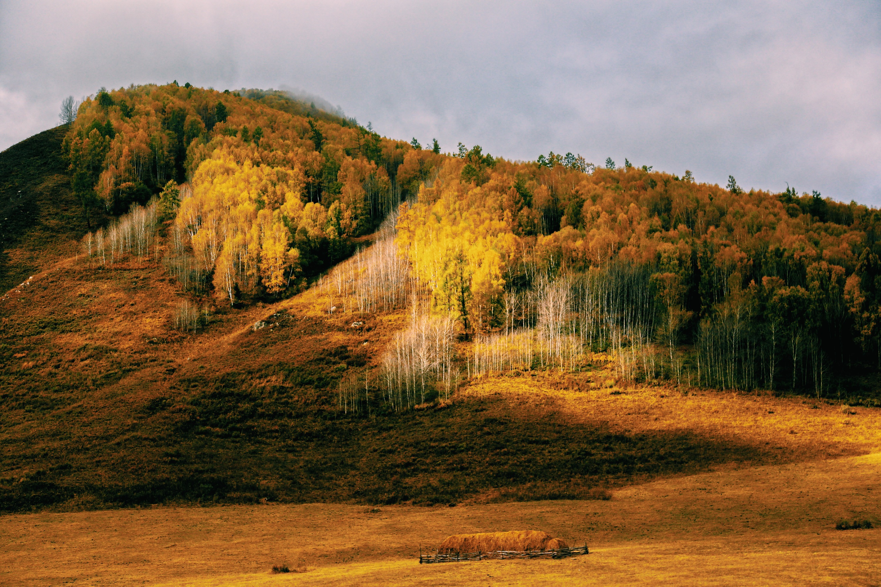 新疆拍摄|摄影|风光|燕无离 - 原创作品 - 站酷 (zcool)