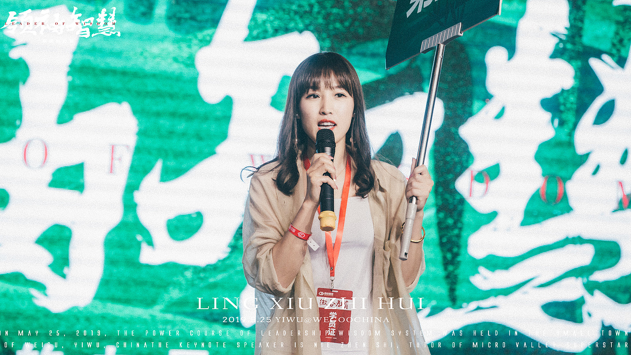 领袖智慧系统的力量